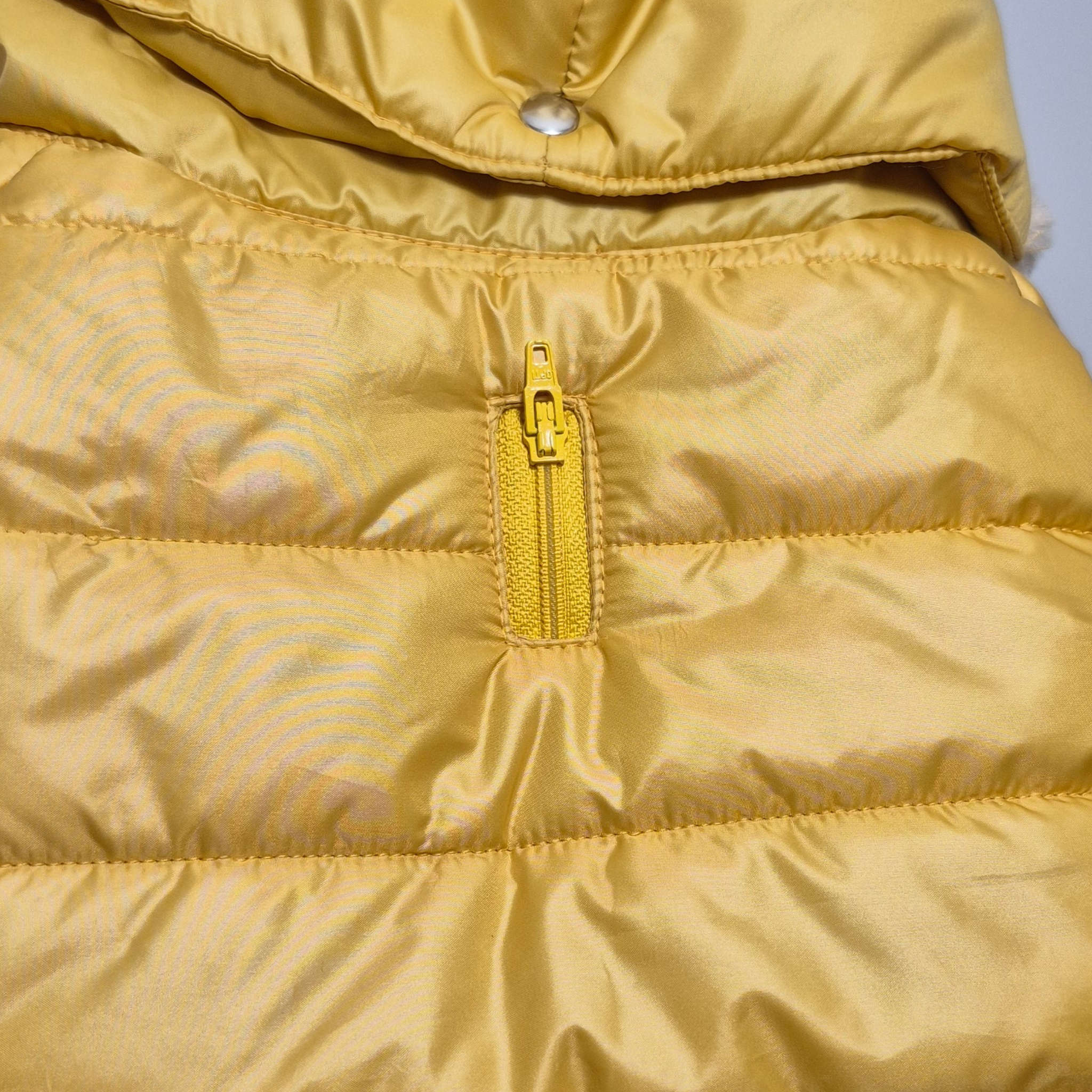 Piumino Invernale Jacket Hoodie per Cani